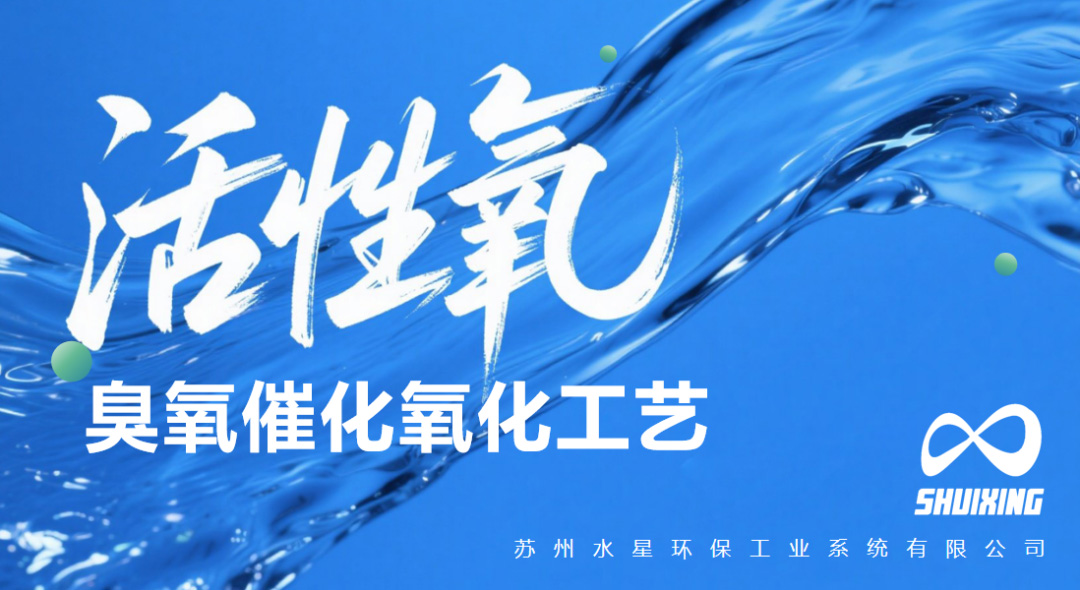 活动|开云手机入口官网环保双会发布两项创新环保技术